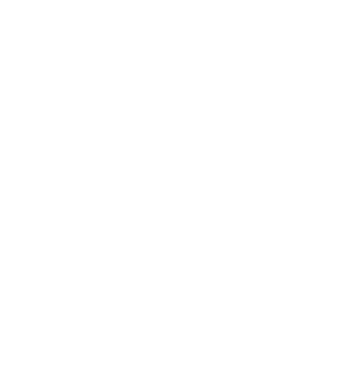 極みの国産りんご 山形県産のりんごのみをたっぷり使用